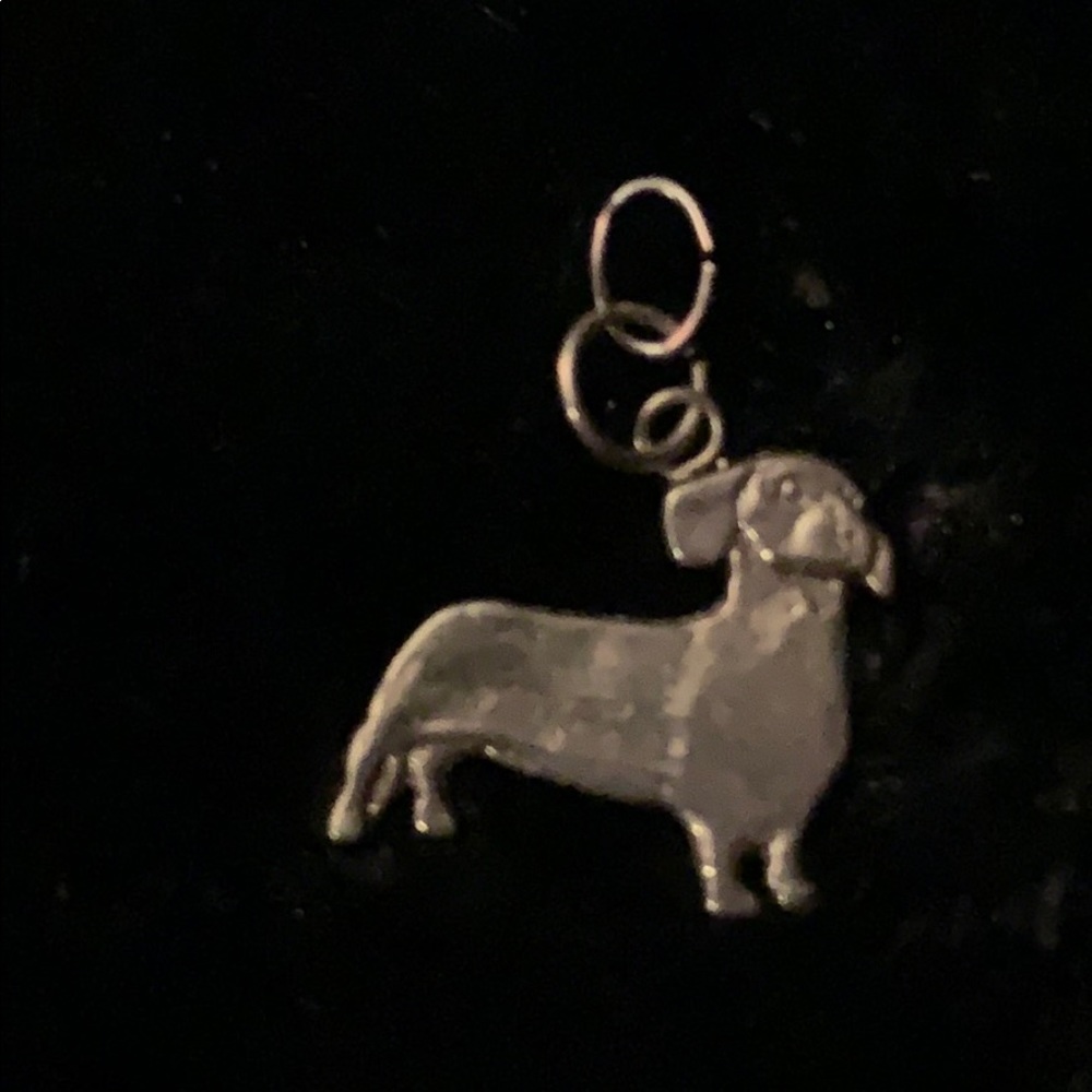 Dachshund Charm